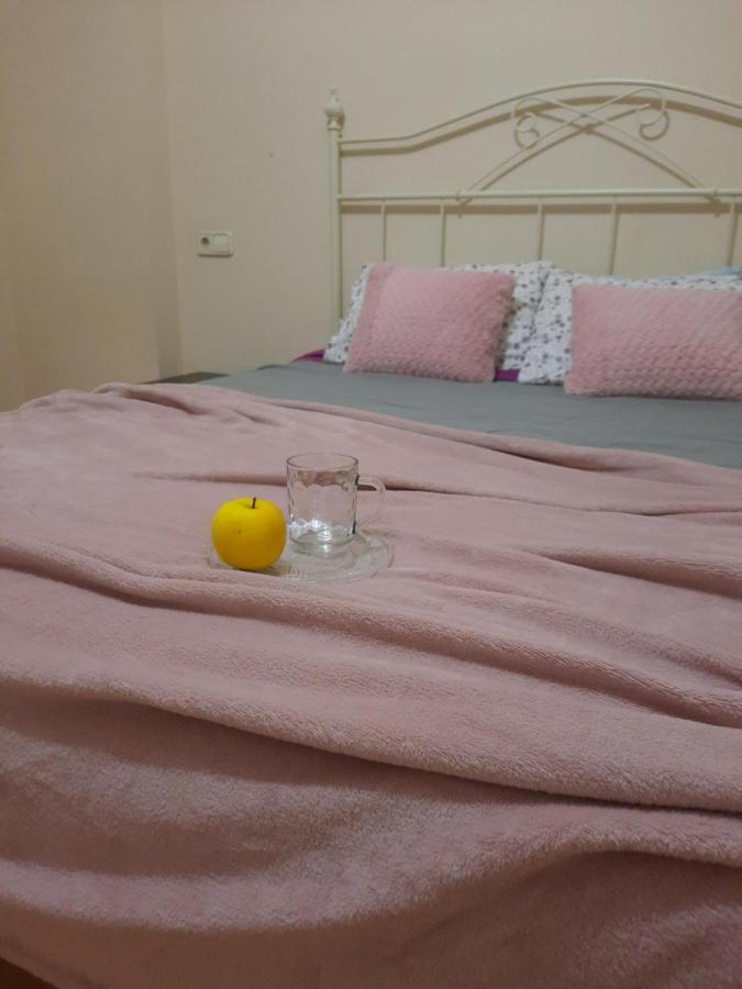 Bem Acogedora Y Muy Centrica Apartman Zamora Kültér fotó